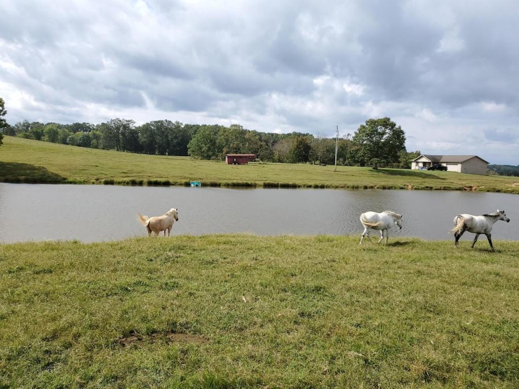 Pikeville Secluded House On 60 Acres Close To Fall Creek Falls מראה חיצוני תמונה
